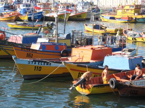 Harbor in Curico, Chile