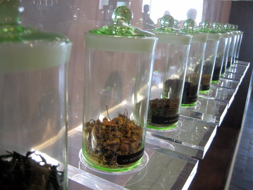 Teas on display at Gong Fu